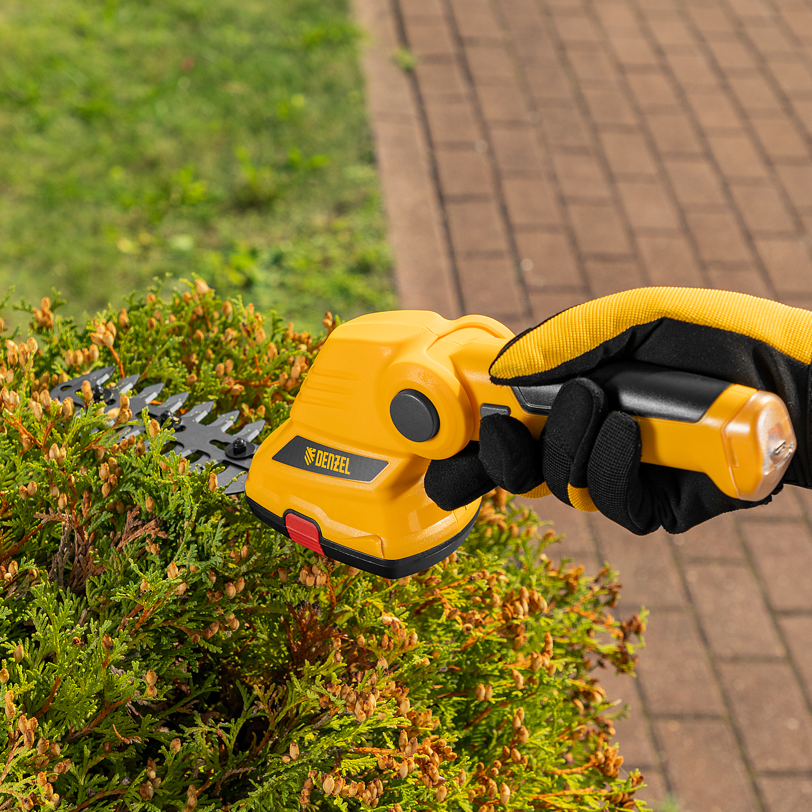 Миниатюра изображения товара 33